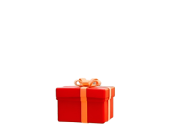 Gift Box